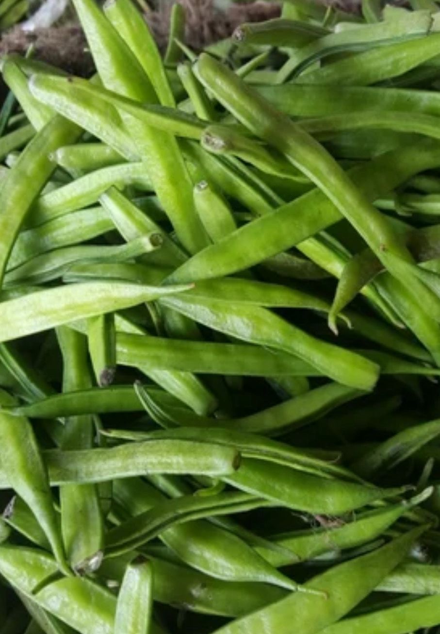 Gawar Phali (Cluster Beans)