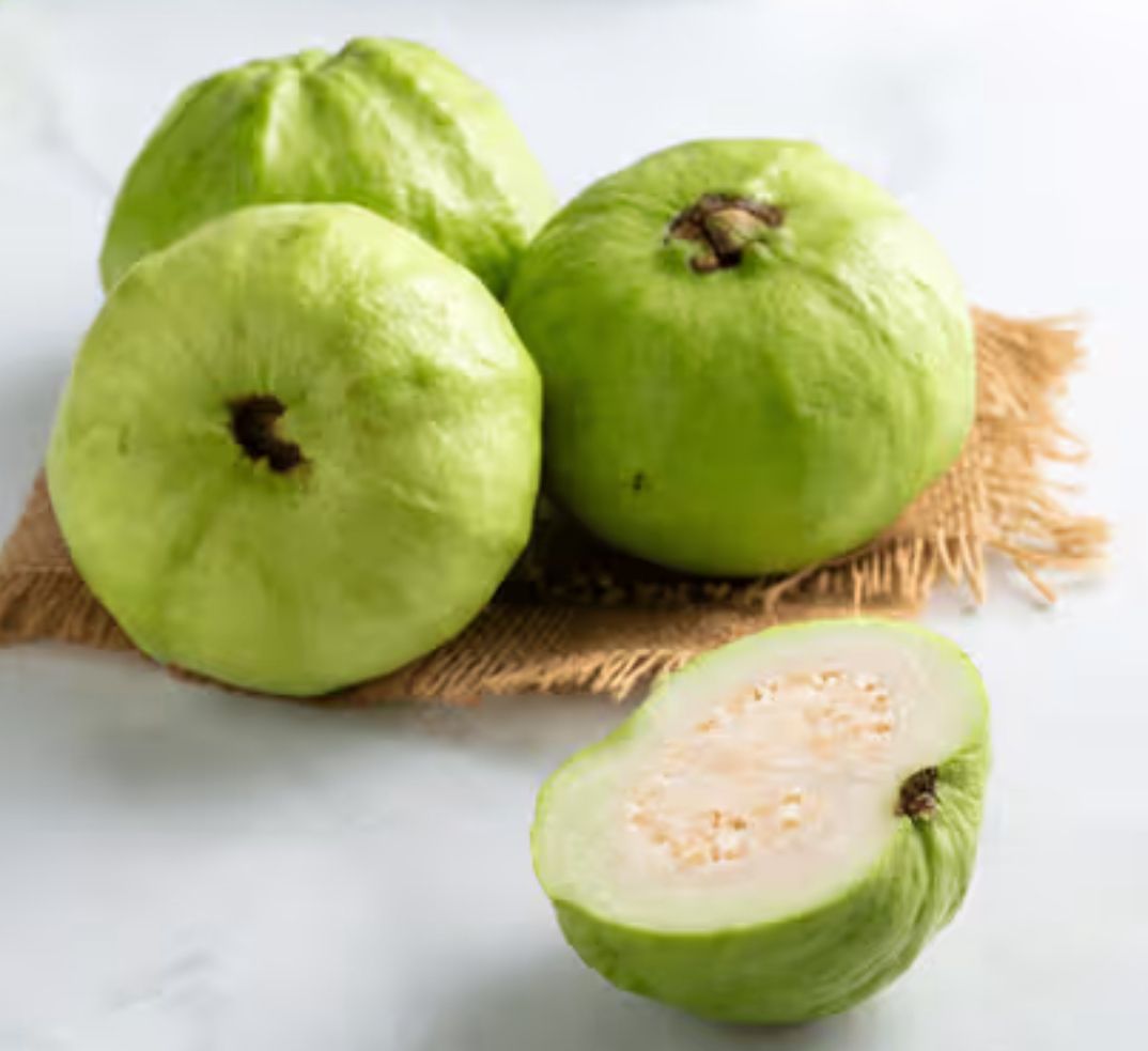 Guava