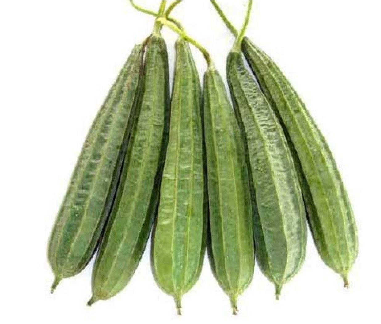 Ridge Gourd/ Turai