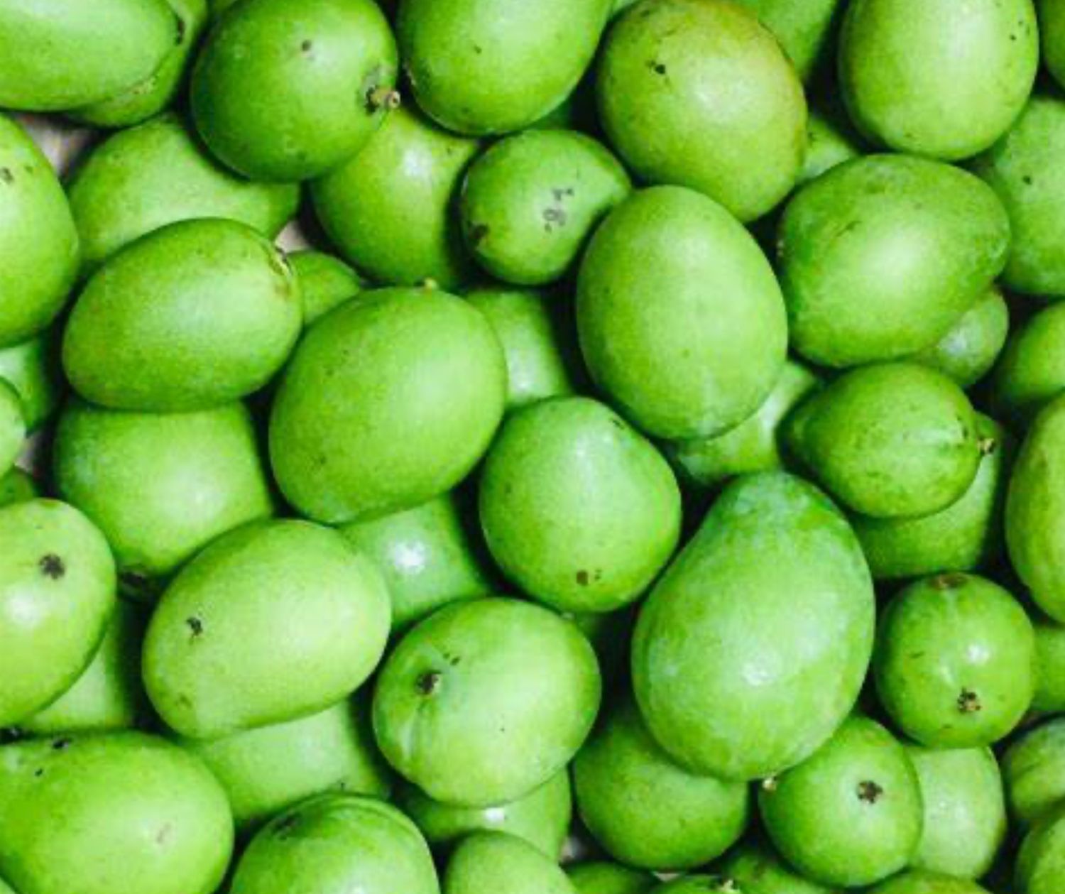 Green Mango