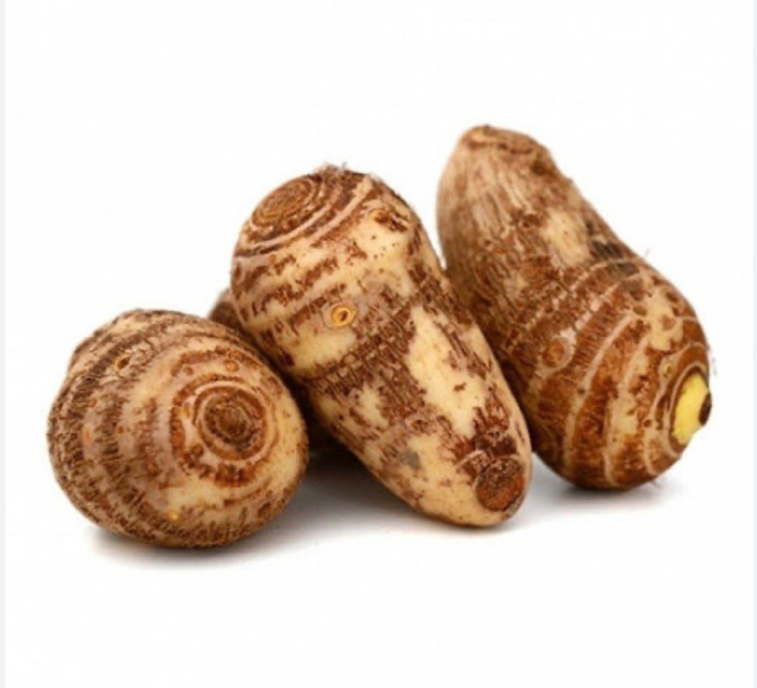 Arvi/Taro Roots