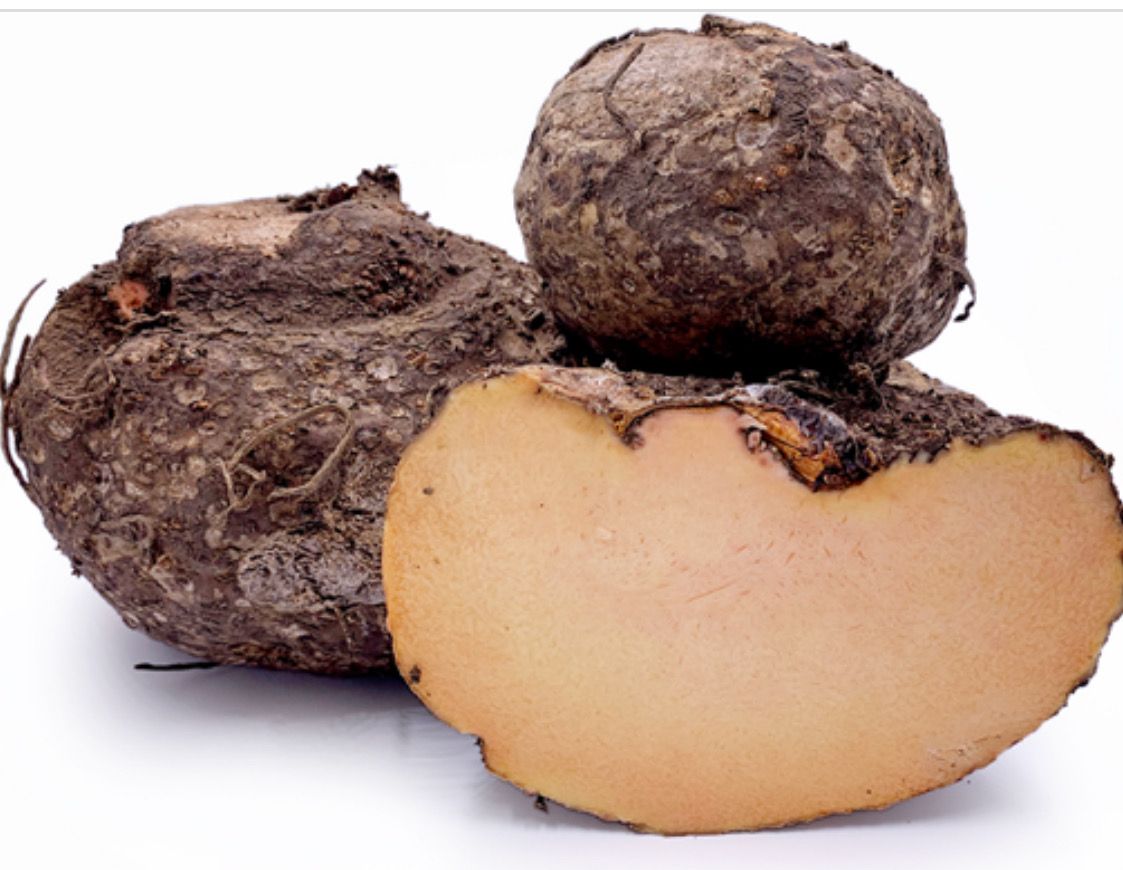 Elephant Foot Yam/Suran