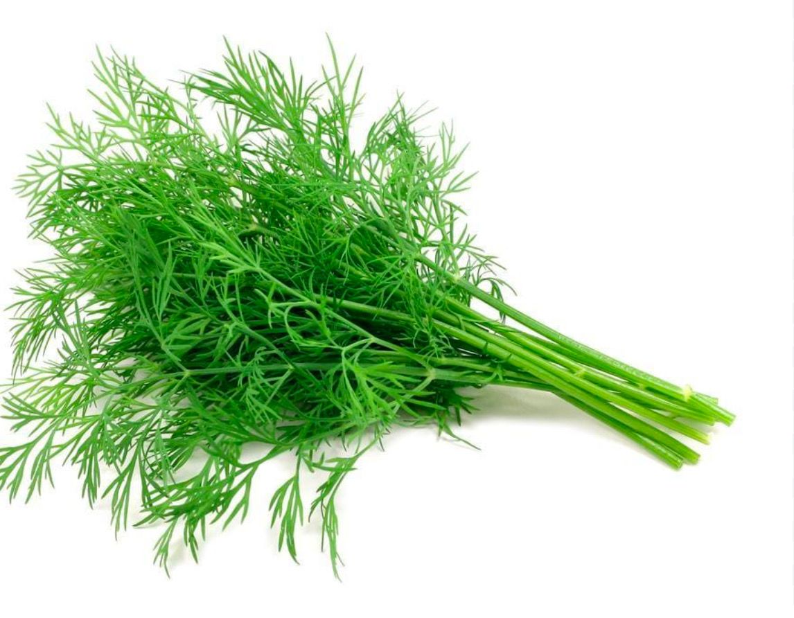 Dill Bunch