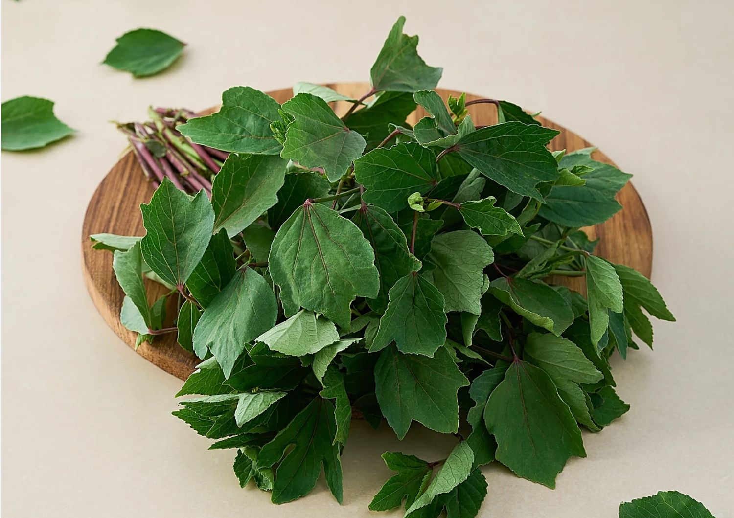 Gongura Leaves Bunch