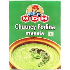 MDH Chutney Podina Masala 100g