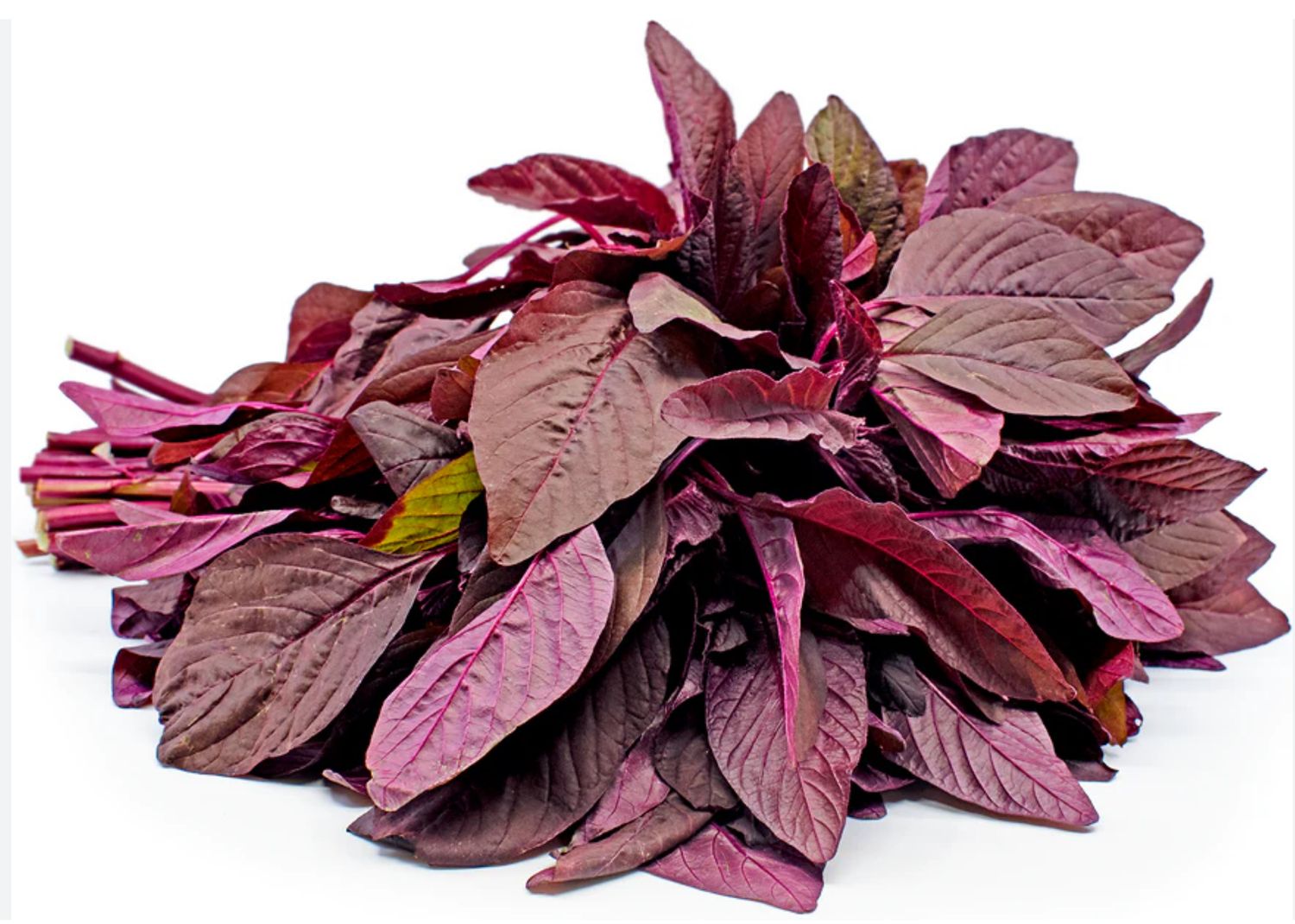 Purple Amaranth per Bunch