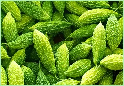 Karela Bitter Gourd