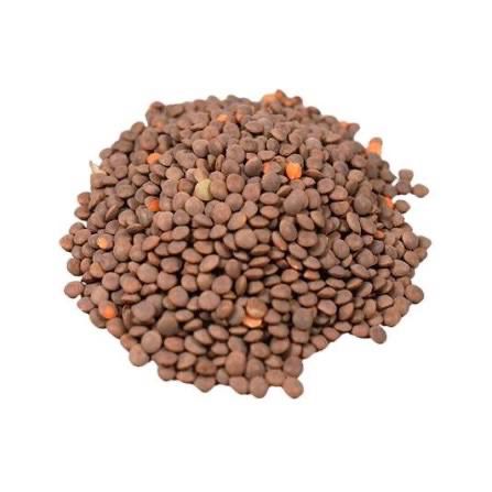 Balaji Brown Lentils 2kg