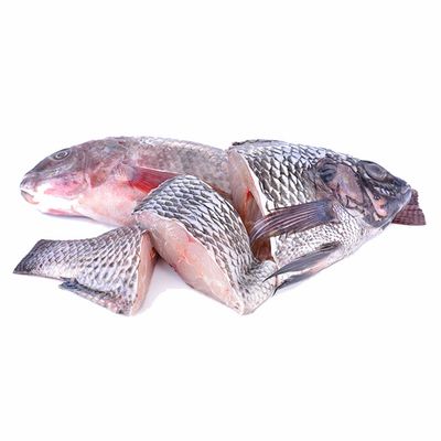 Black Tilapia Steak Per kg