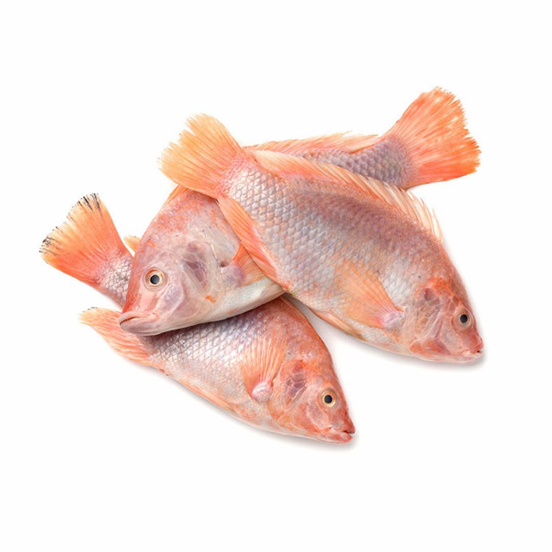 Red Tilapia Per Box (4kg)