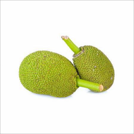 Indian Raw Jackfruit