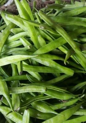 Gawar Phali (Cluster Beans)