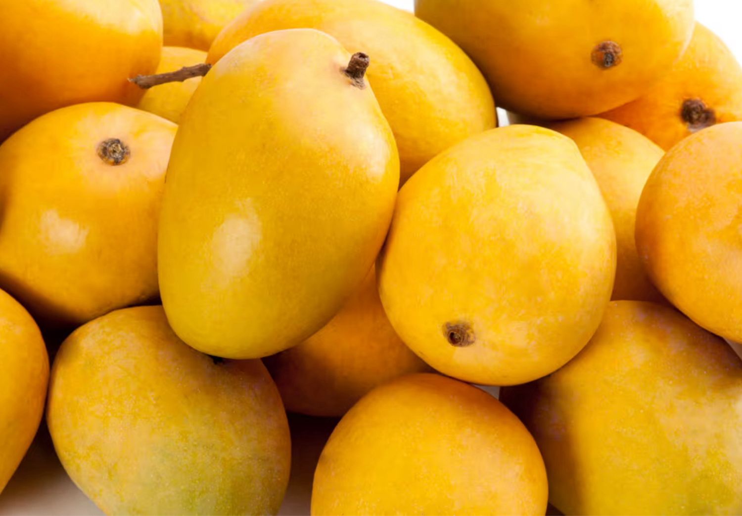 Indian Mango