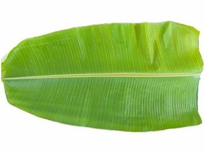 Banana Leaves Per Pcs