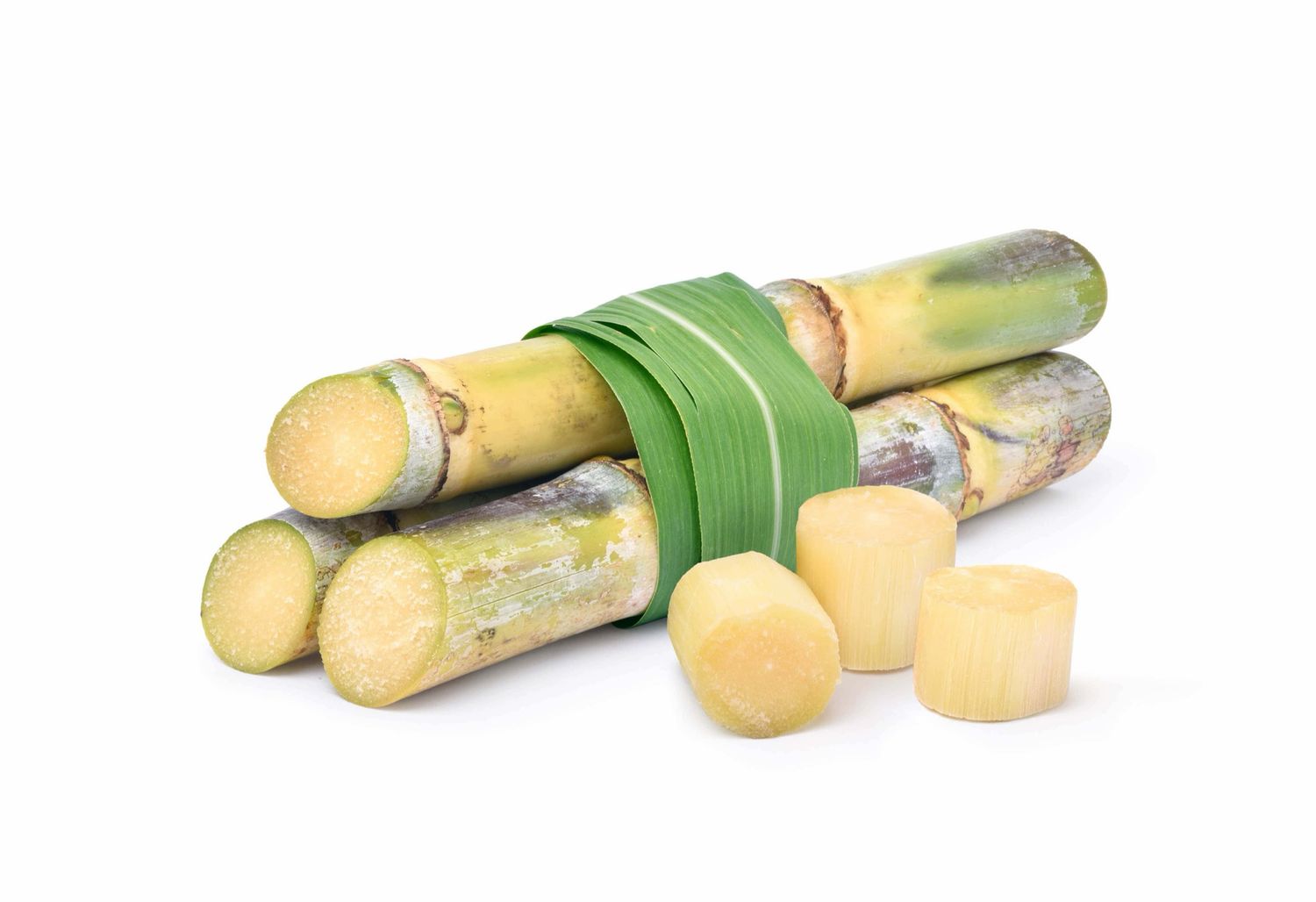 Sugar Cane