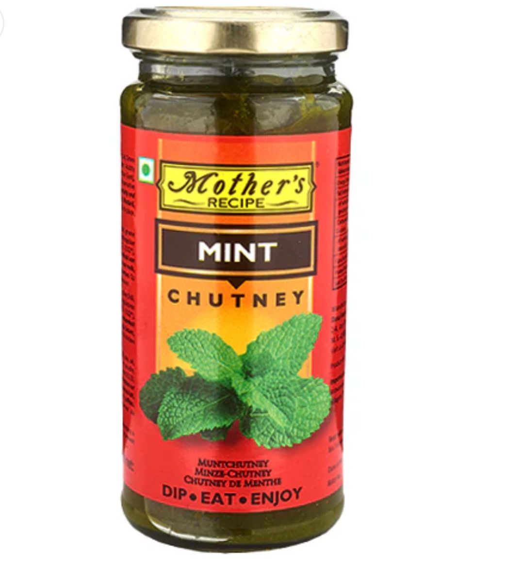 Mothers Recipe Mint Chutney 250g
