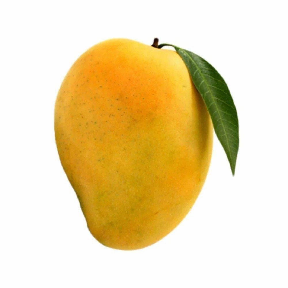 Dominic Mango