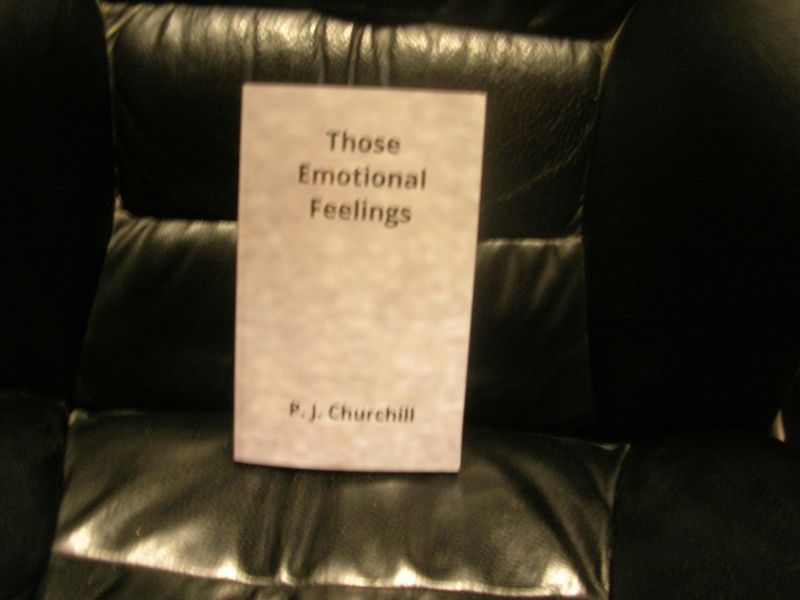 Those Emotional Feelings (Romance Fiction) Those Emotional Feelings (Romance Fiction)