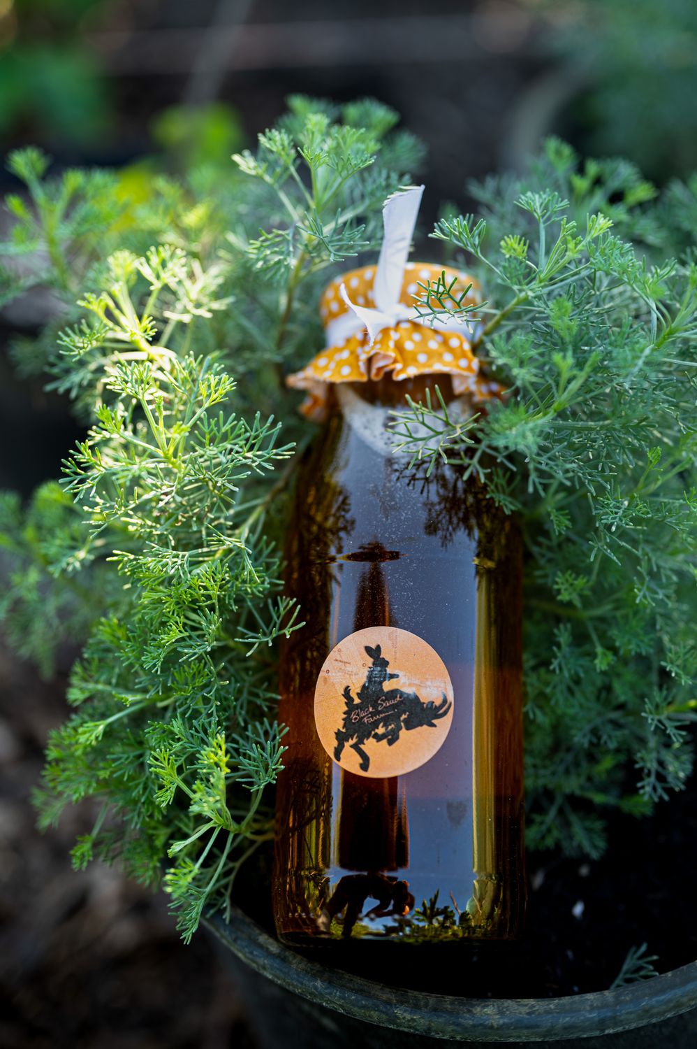 Cola Szörp - Istenfa cserjéből -