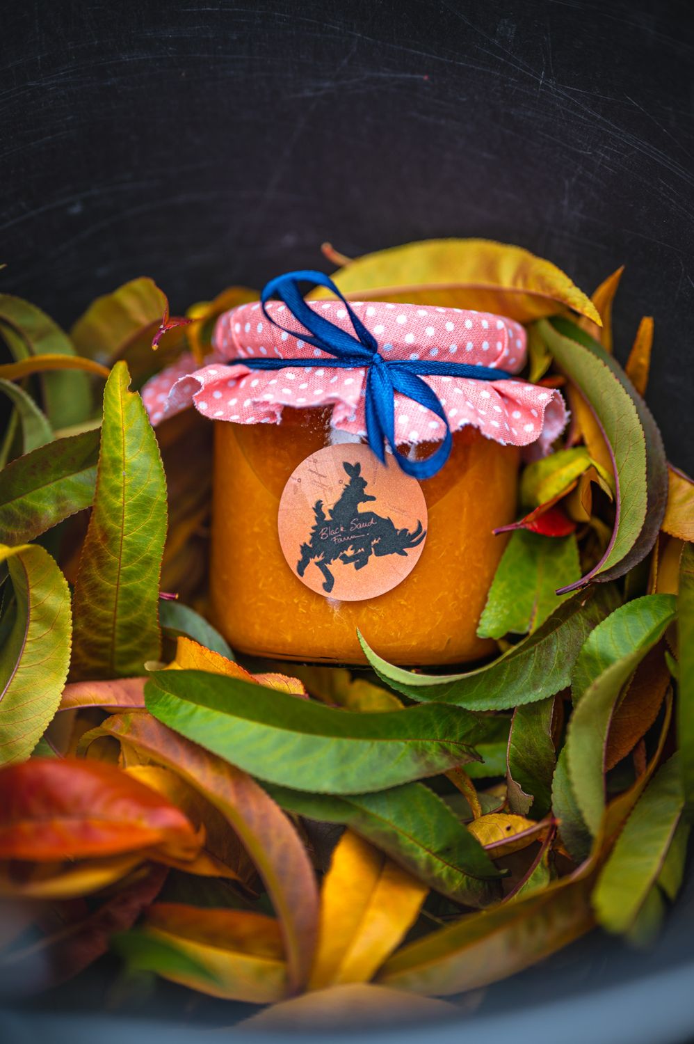 Sárgabarack Lekvár