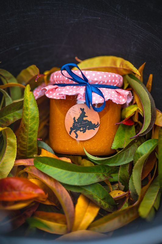 Sárgabarack Lekvár