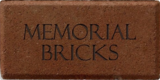 4x8 Special Recognition Brick