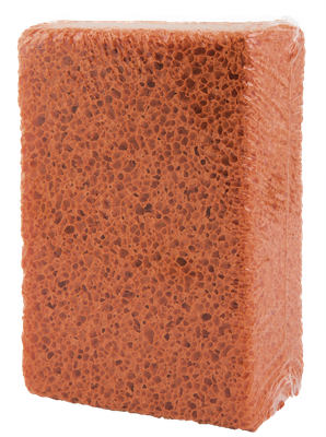 SPUGNA LATTICE NATURALE