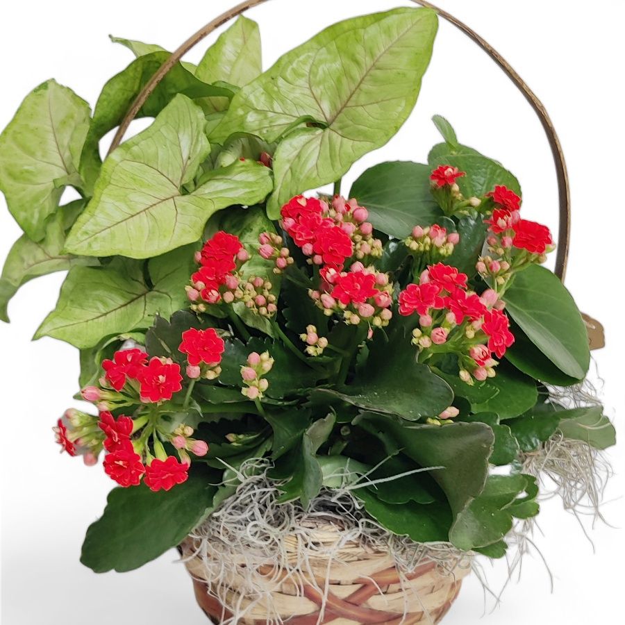 Garden basket medium