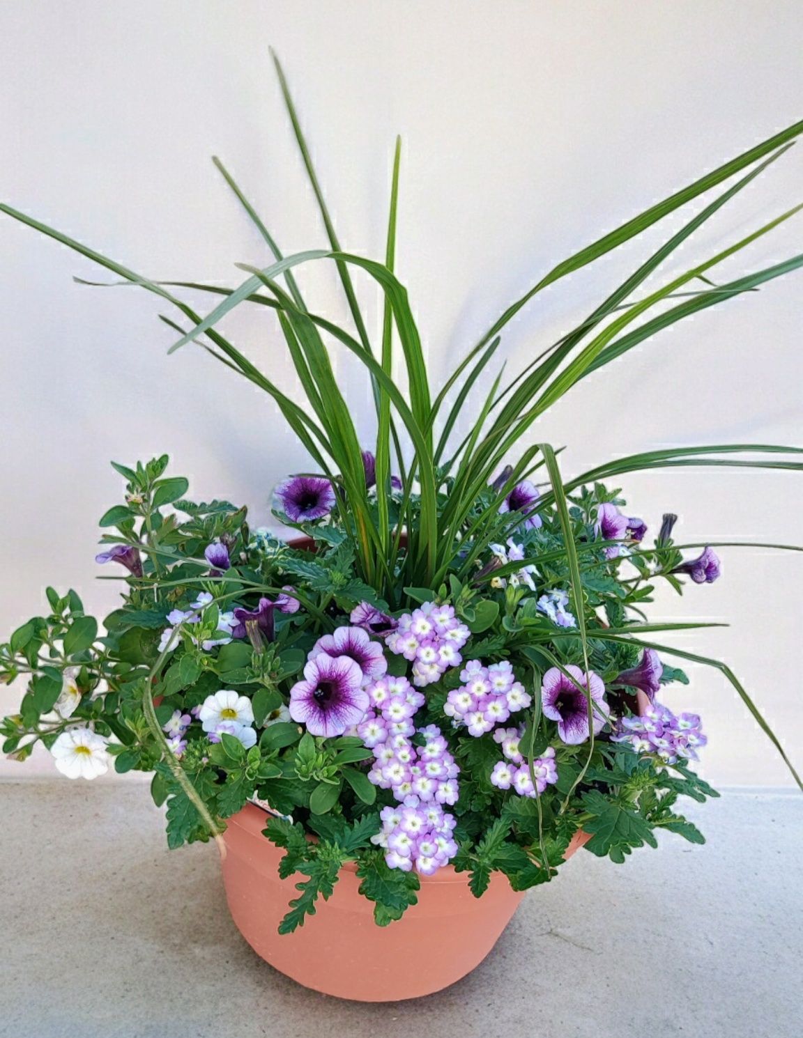 Purple patio planter