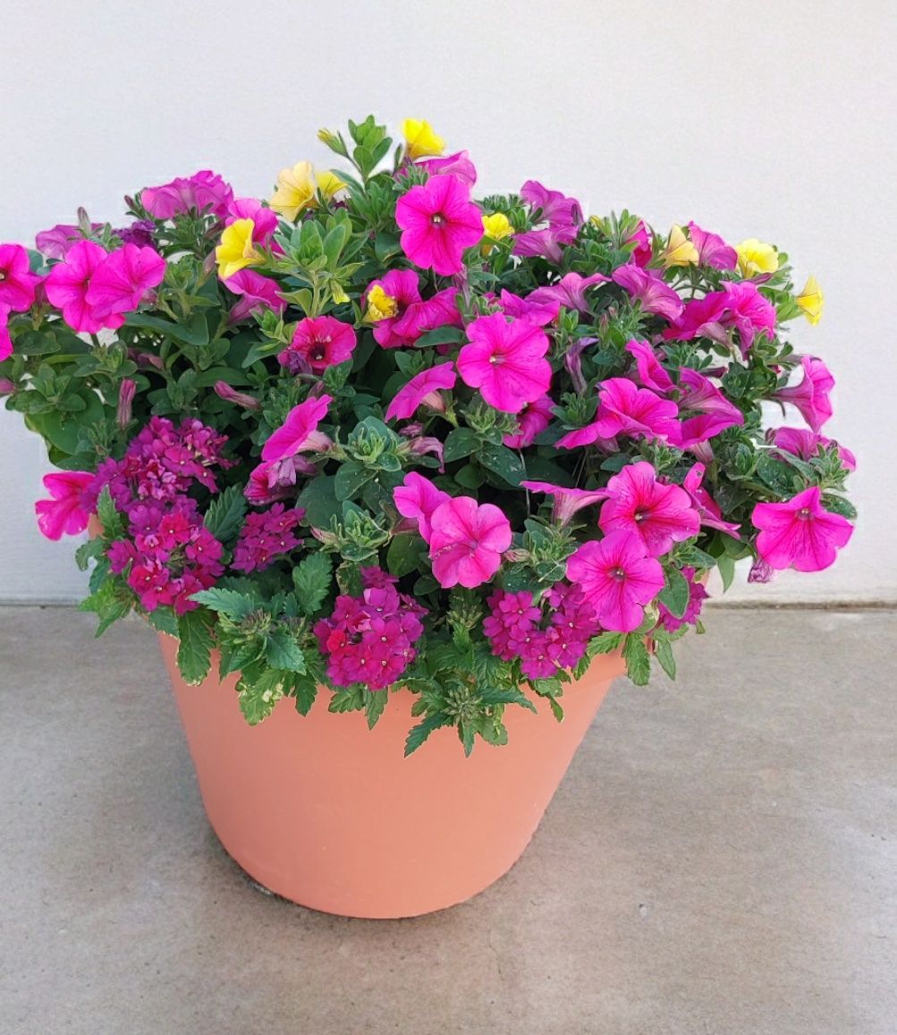 Extra large planter