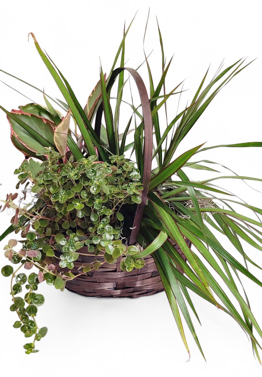 Plant basket