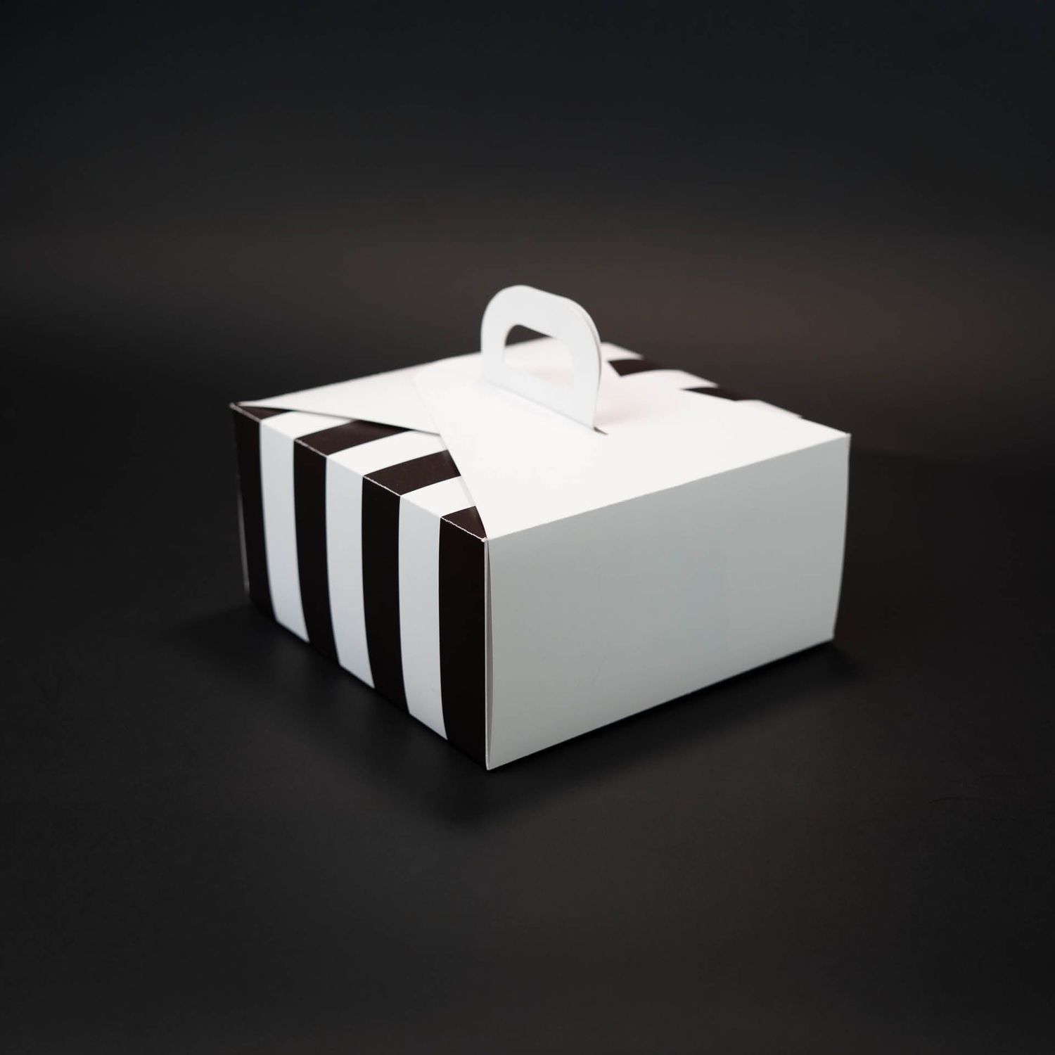 Self Closing Carrier Box (Squared)