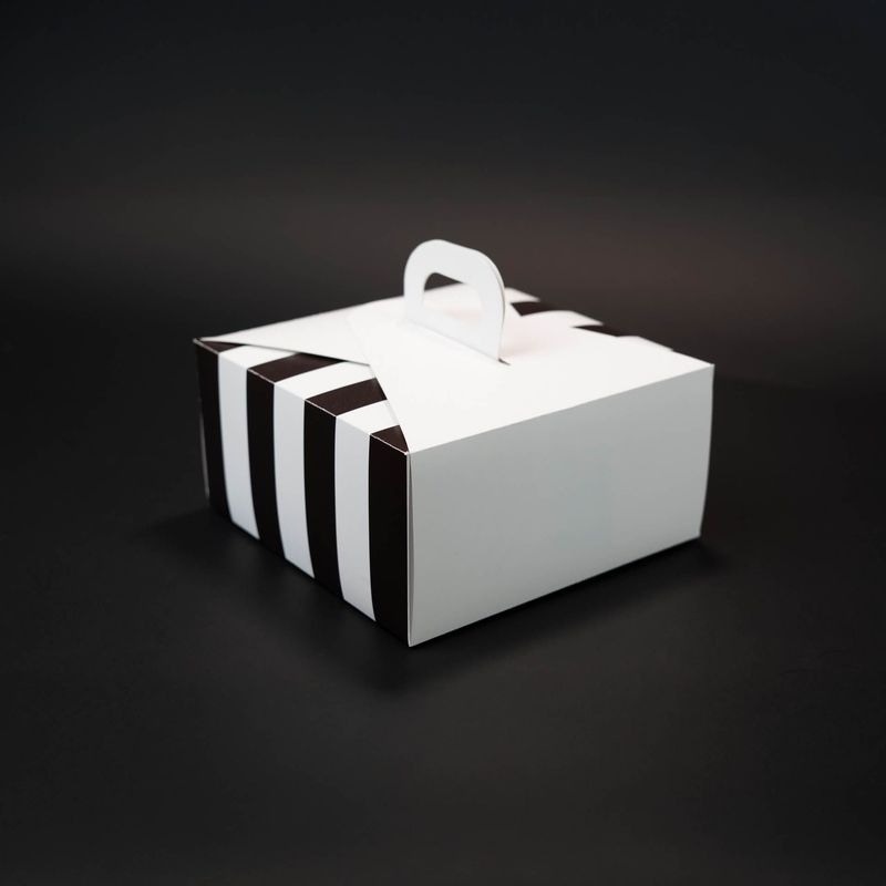 Self Closing Carrier Box (Squared)