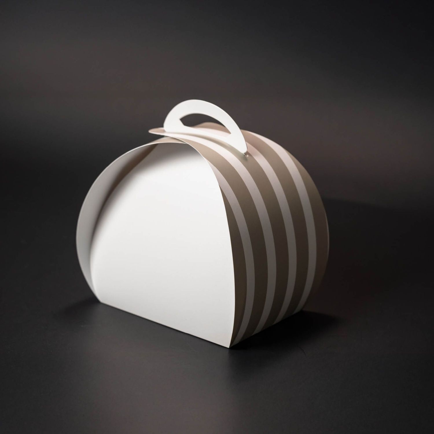 Self Closing Carrier Box (Curved)