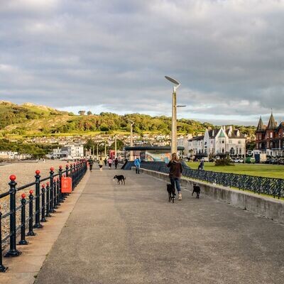 Bray