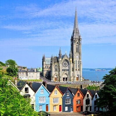 Cork