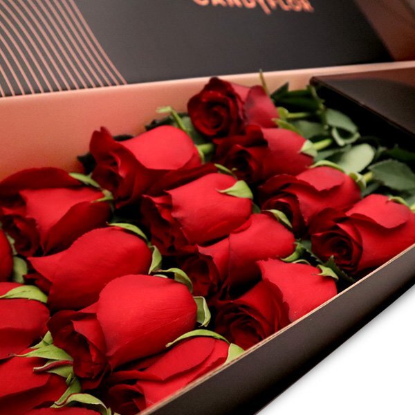 Candyflor’s Rose Elegance