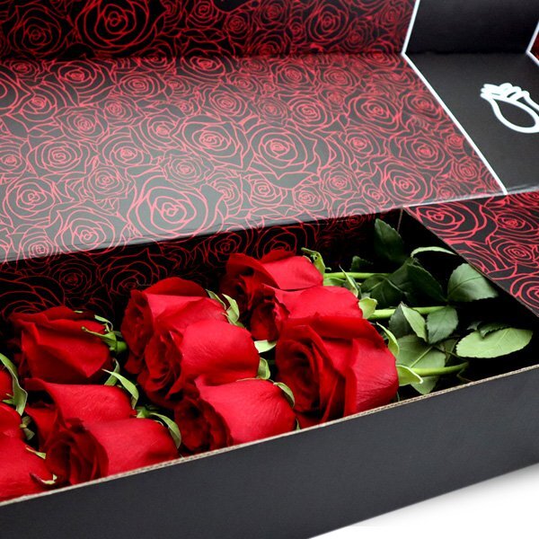 Radiant Roses: A Collection by Candyflor