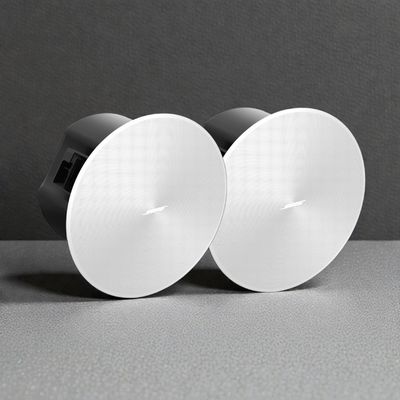 Bose DesignMax DM2C-LP, Speaker Ceiling 2.25-inch, 20 Watt