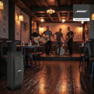 Bose 402 Series V, Speaker Performance, Outdoor, 4x4.5-inch, 150 Watt