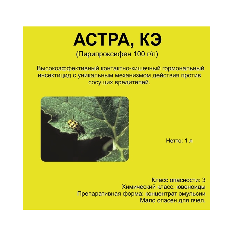 E-commerce Product Image