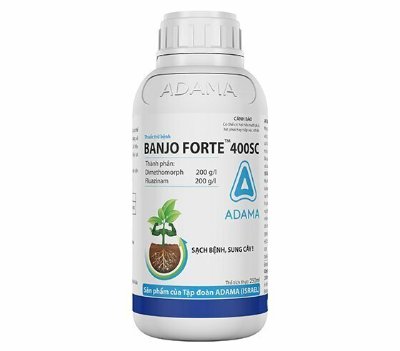 E-commerce Product Image
