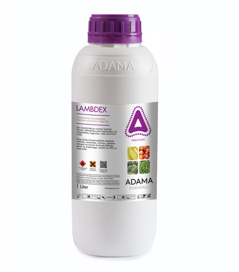 E-commerce Product Image