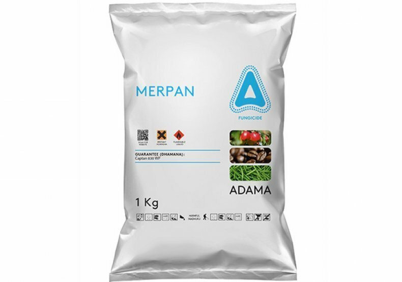 E-commerce Product Image