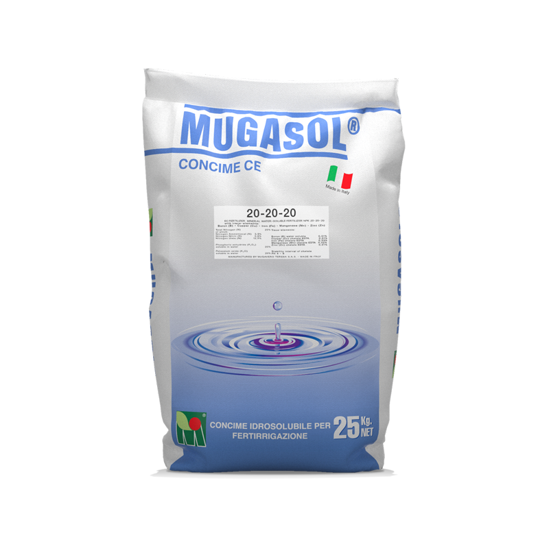 E-commerce Product Image