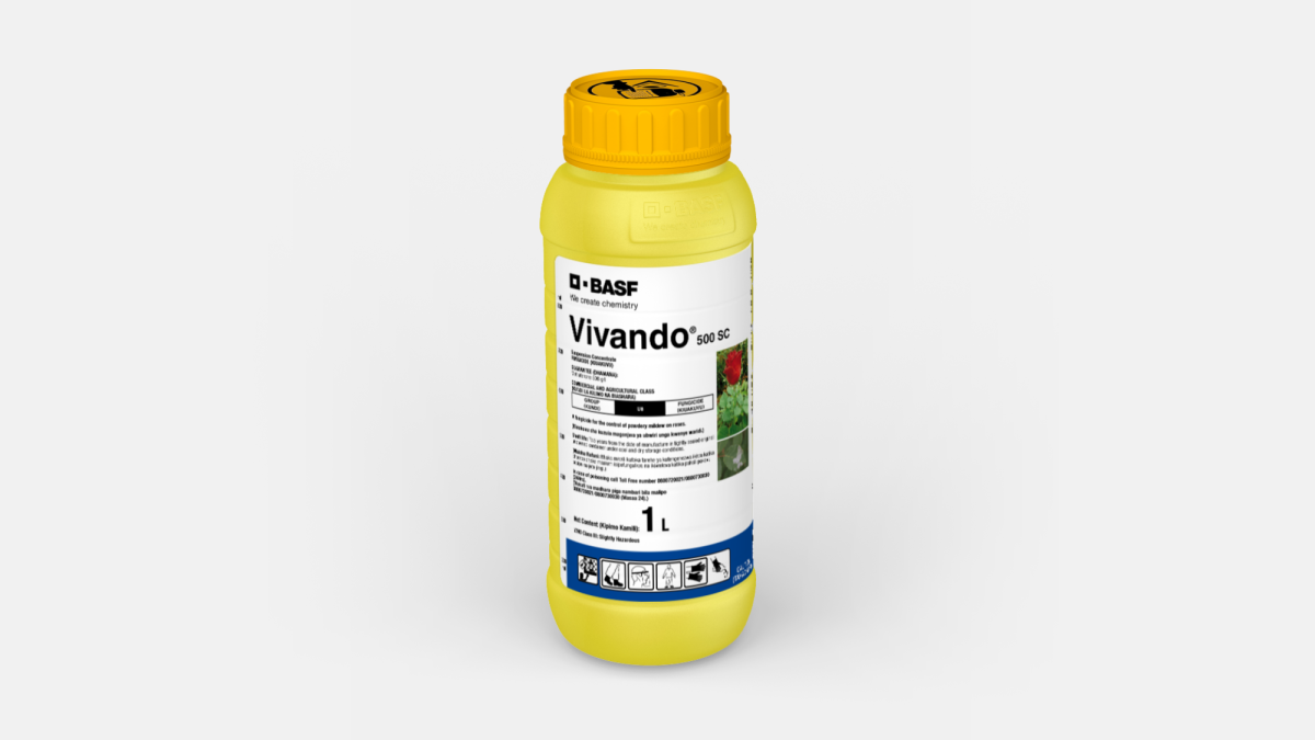 E-commerce Product Image