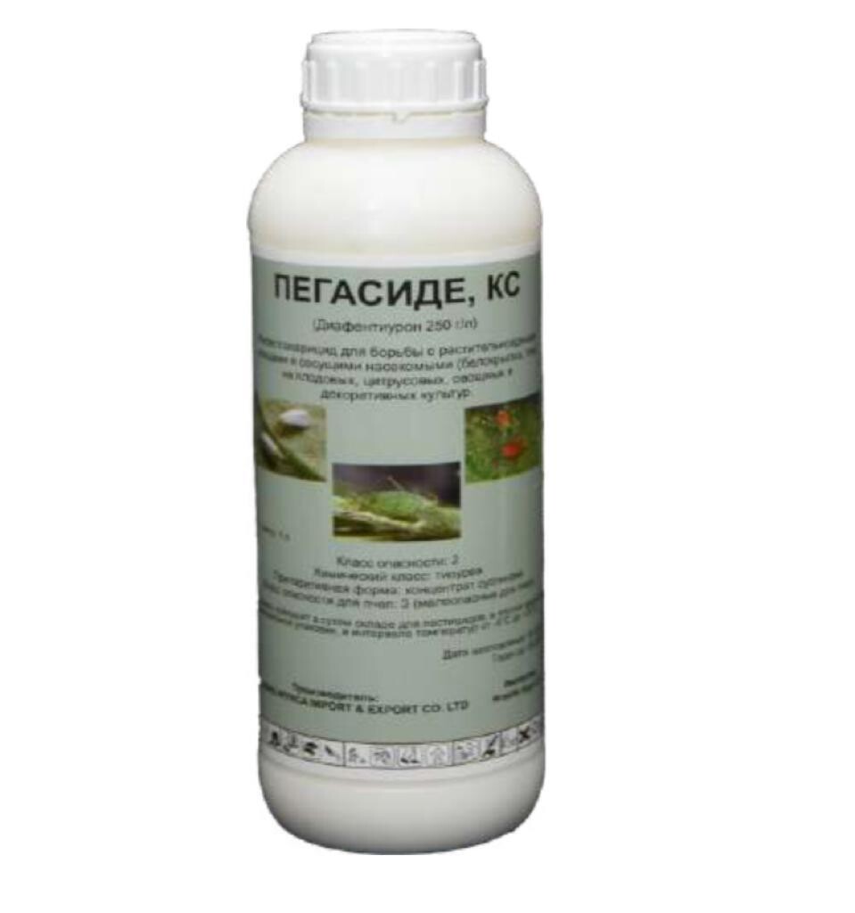 E-commerce Product Image