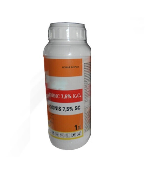 E-commerce Product Image