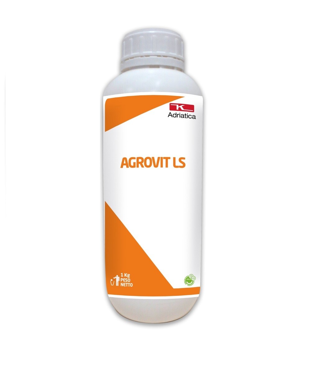 E-commerce Product Image