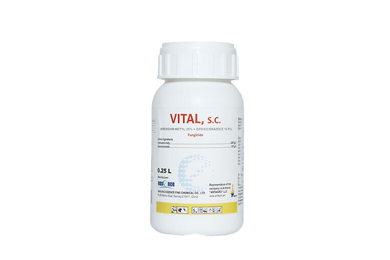 E-commerce Product Image